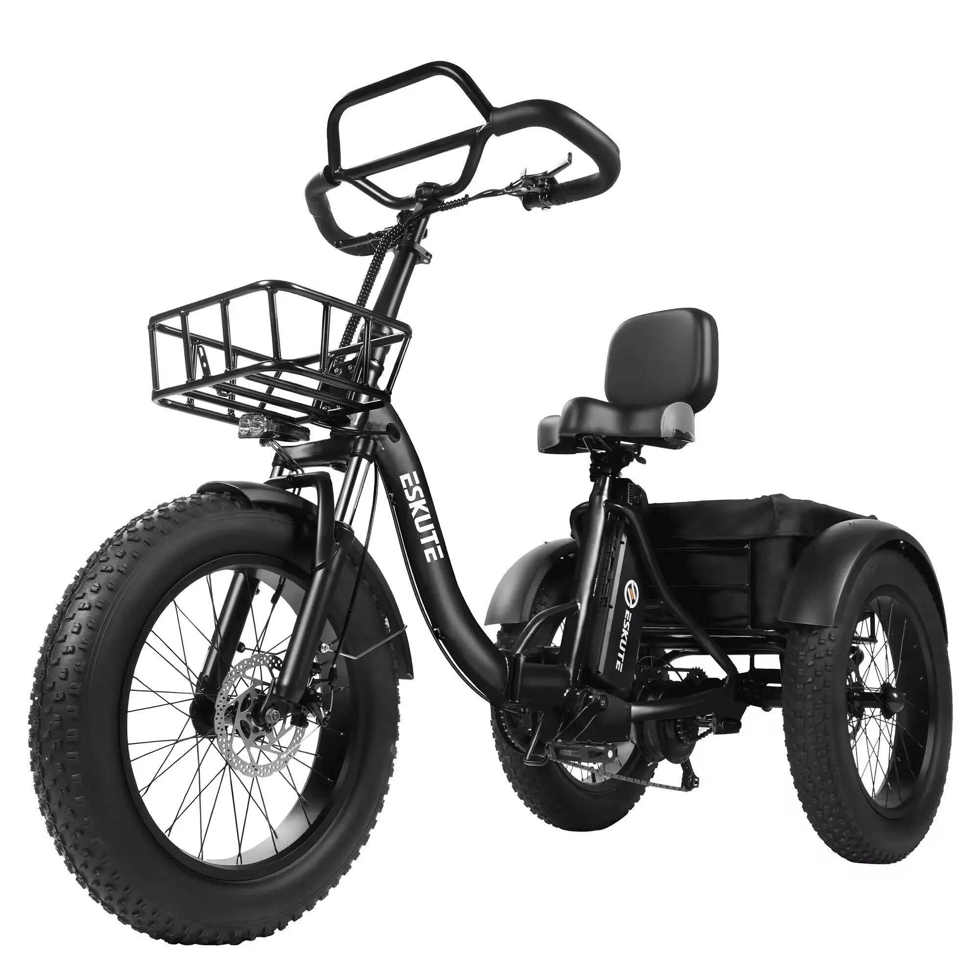 Elektrische driewieler T302 Pro 20", 250W motor, 48V 20,8Ah accu,7-versnellingen 4/4