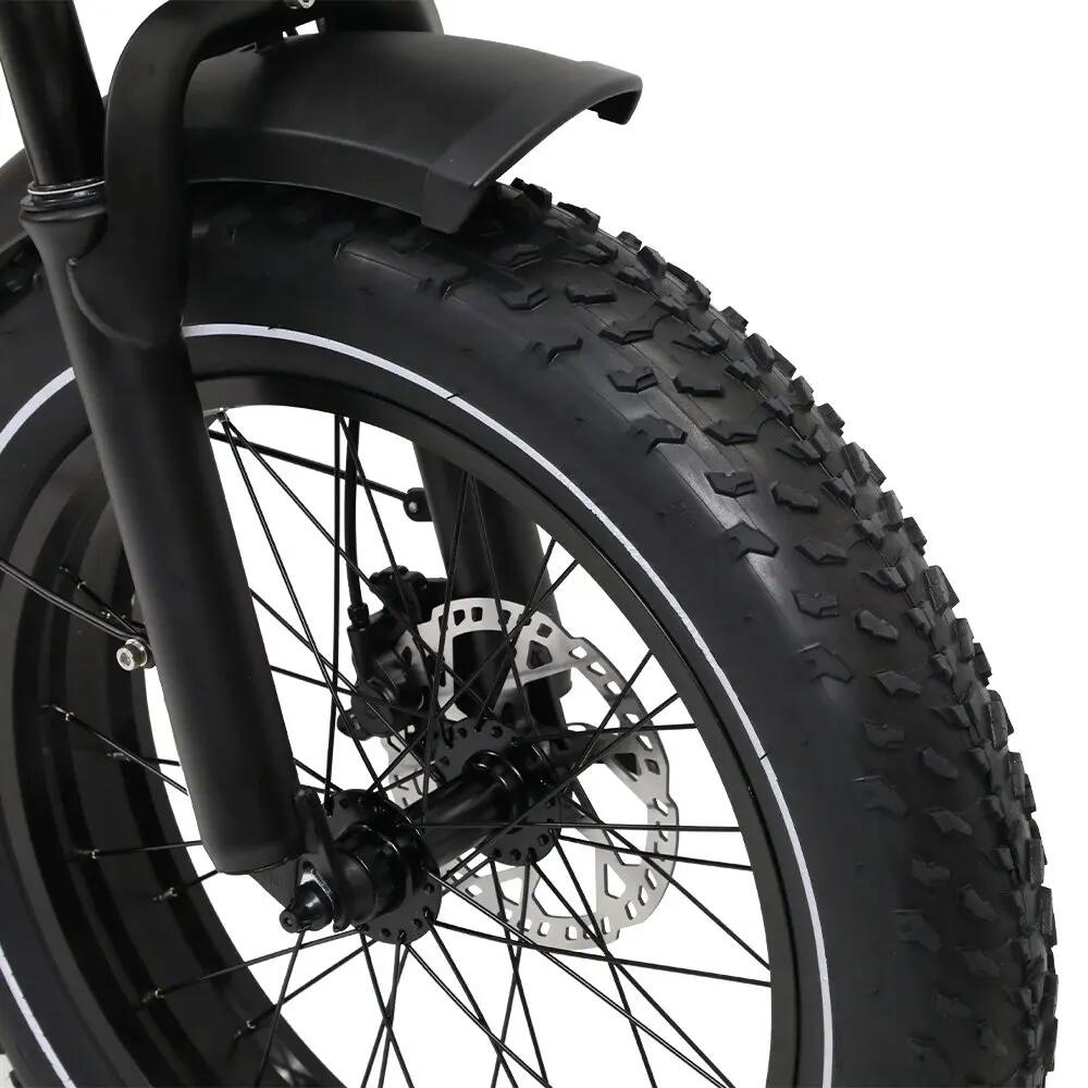 Bici eléctrica off-road W66 adulto, neumático 20" ancho, batería 48V 13,5Ah 6/7