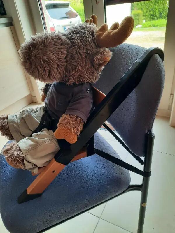 Entre Particuliers - Siège enfant à installer sur une chaise normale 2/7