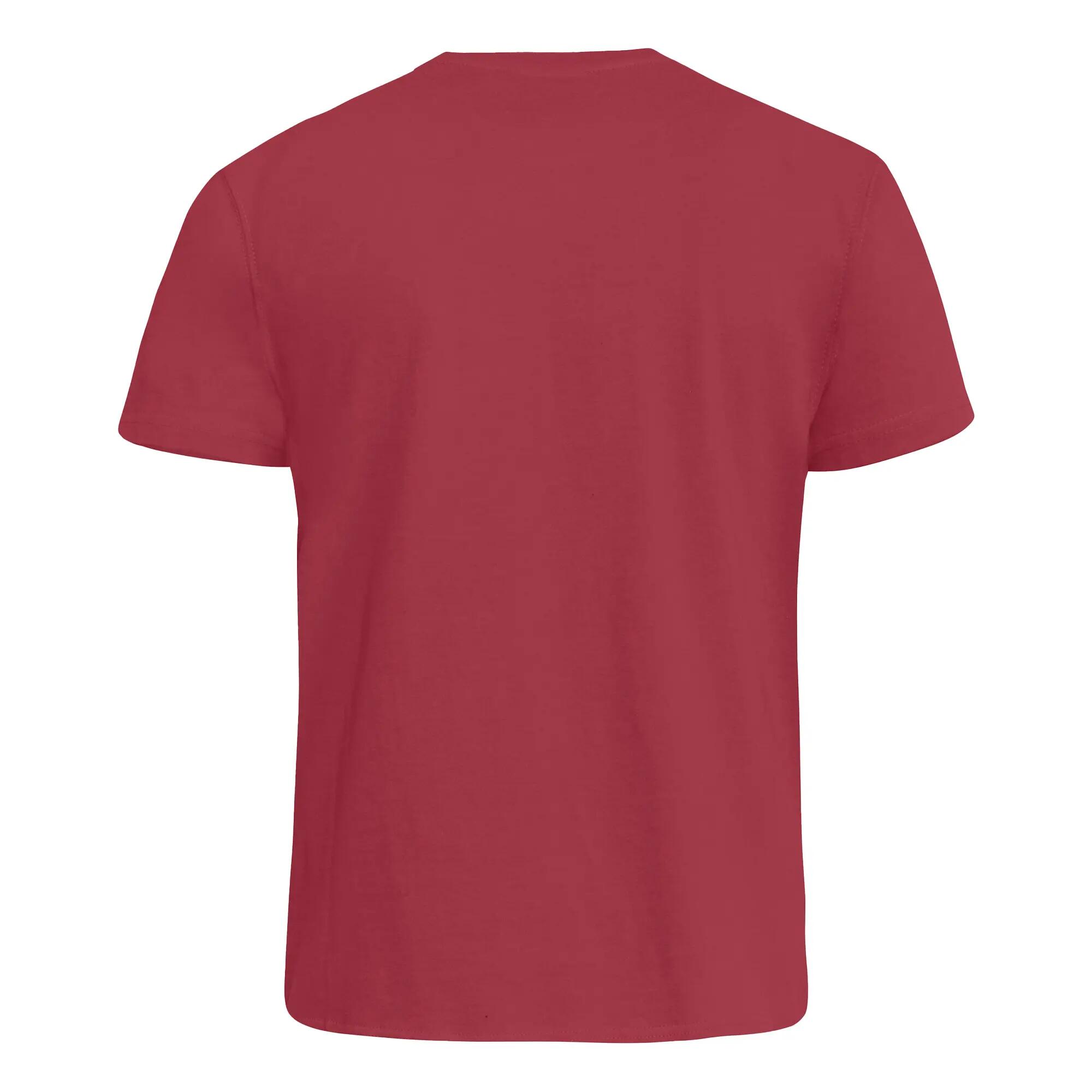 Mens D555 Sig 2 V Neck TShirt (Red) 3/6