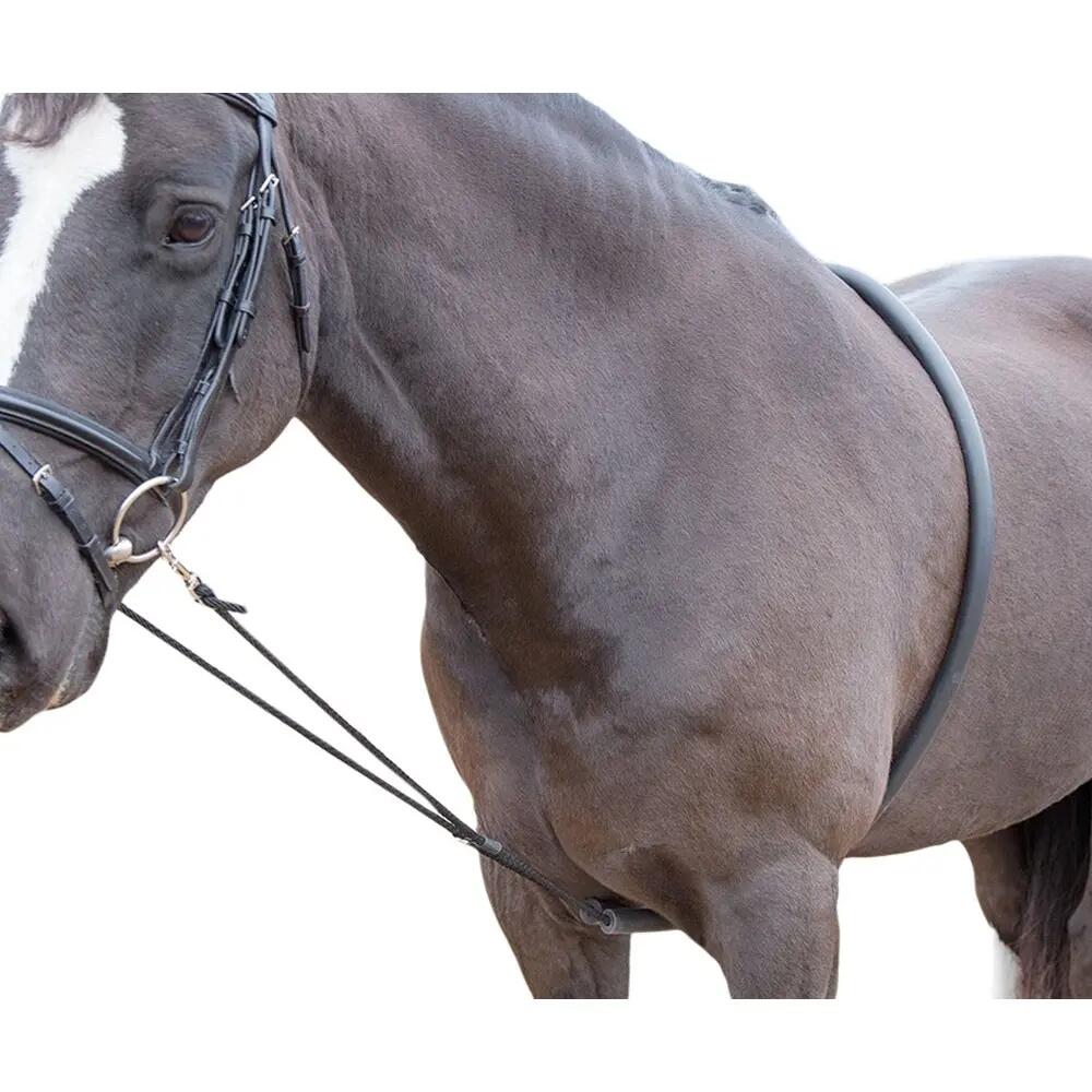 SHIRES picture