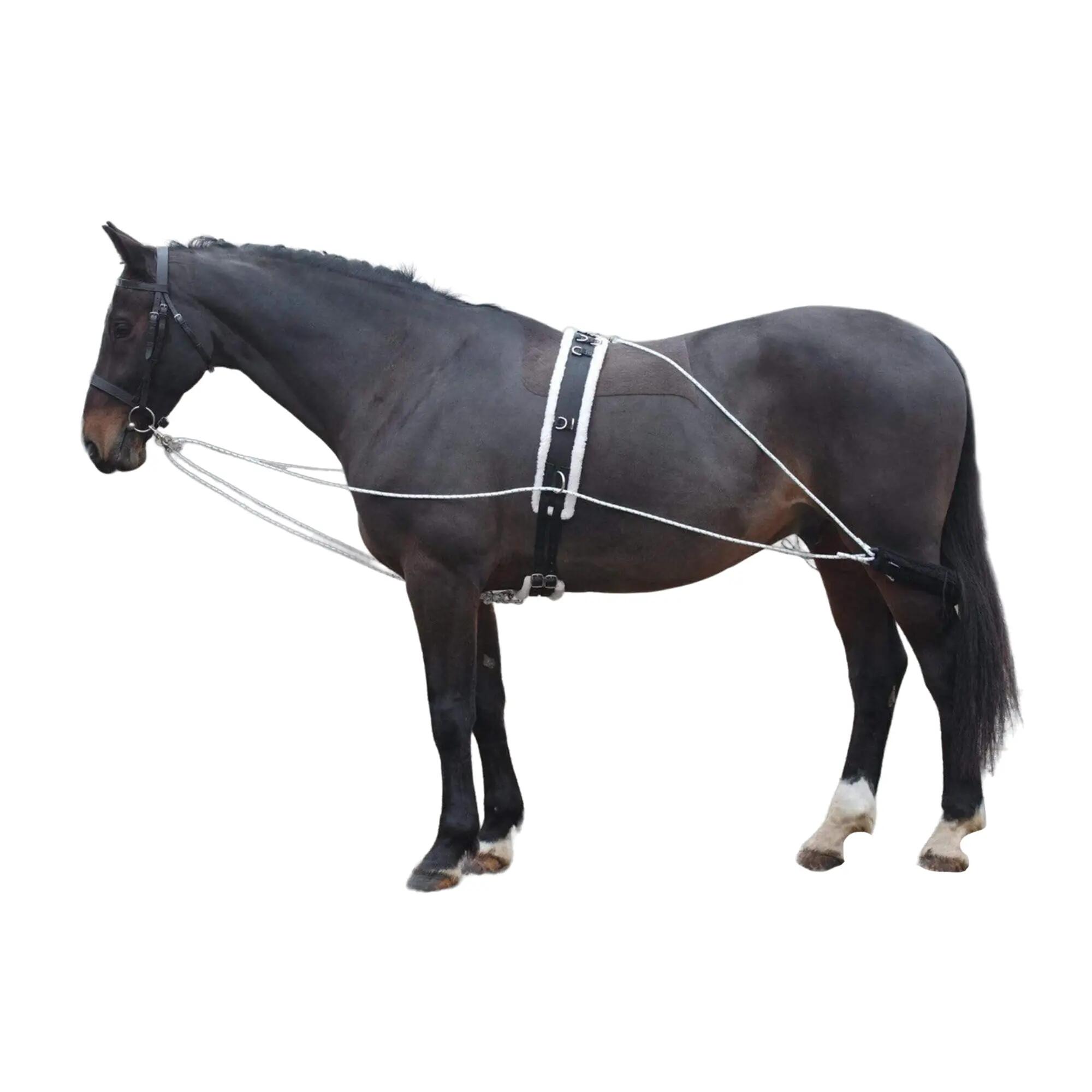 Horse Lunging Aid (Black) 2/2