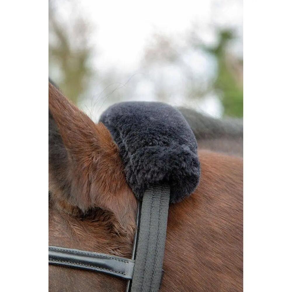 Leather Horse Lunging Adapter (Black) 3/4