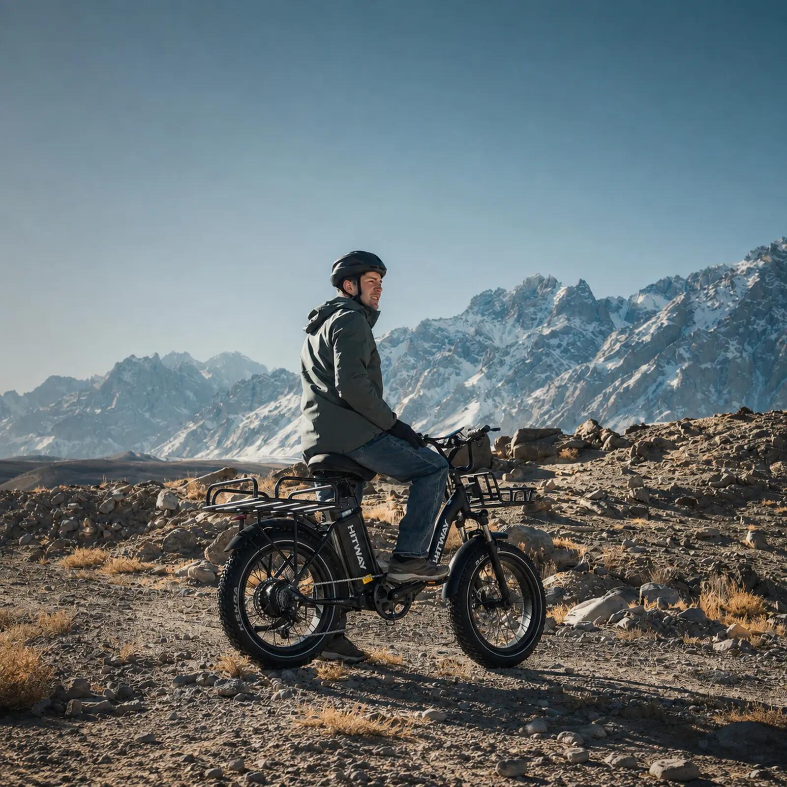 Vélo électrique cargo 20x4.0, 48V 27Ah, 160km, capteur de couple, BK6S PLUS 10/10