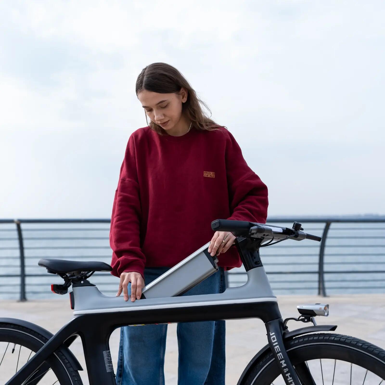 E-Bike Citybike 700C, Riemenantrieb, Drehmomentsensor, 4G GPS, EBIKE-X 11/12