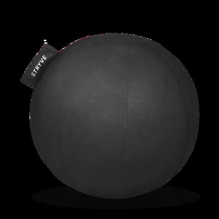 Gymbal STRYVE Active 65