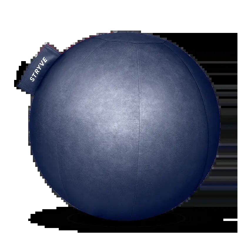 STRYVE picture