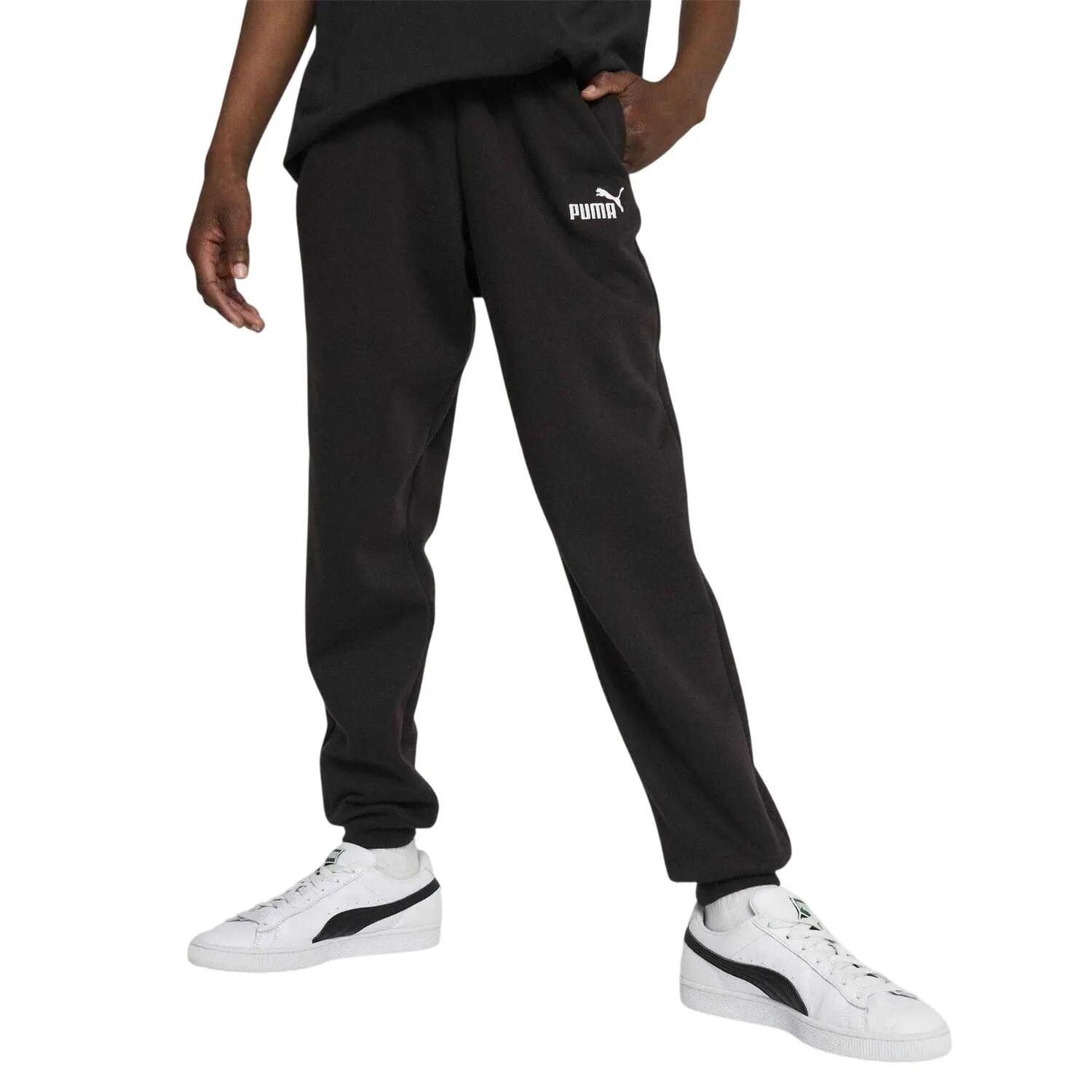 PUMA picture