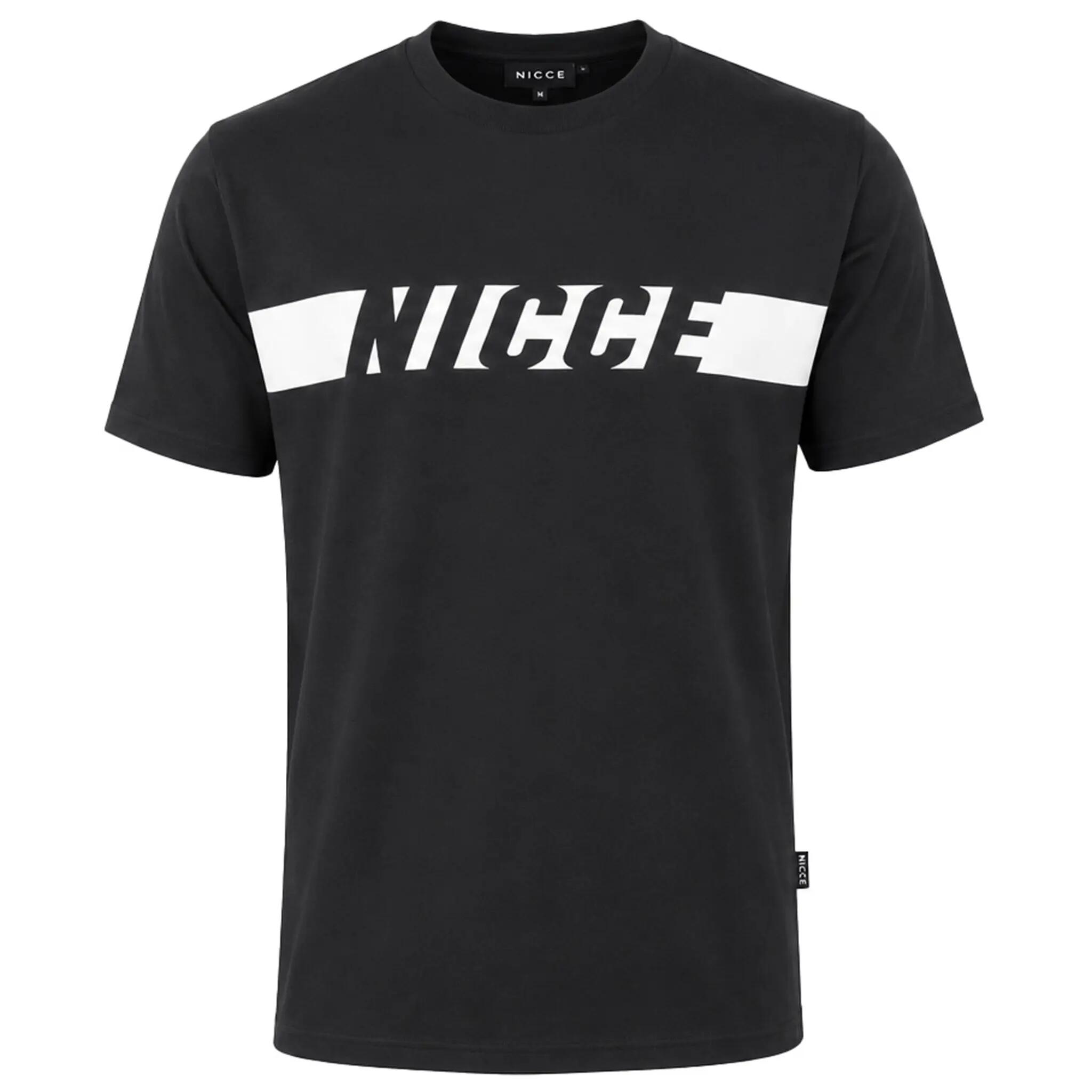 NICCE picture