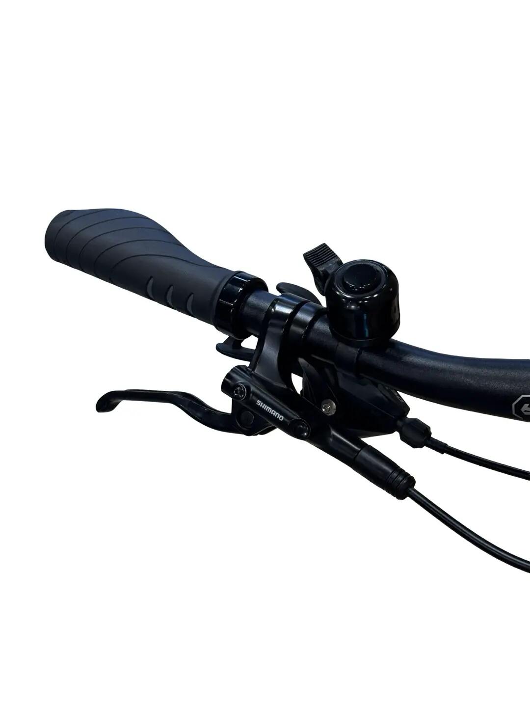 Ricondizionata - Bici elettriche Bergamont E-Horizon Edition - Stato eccellente 5/15