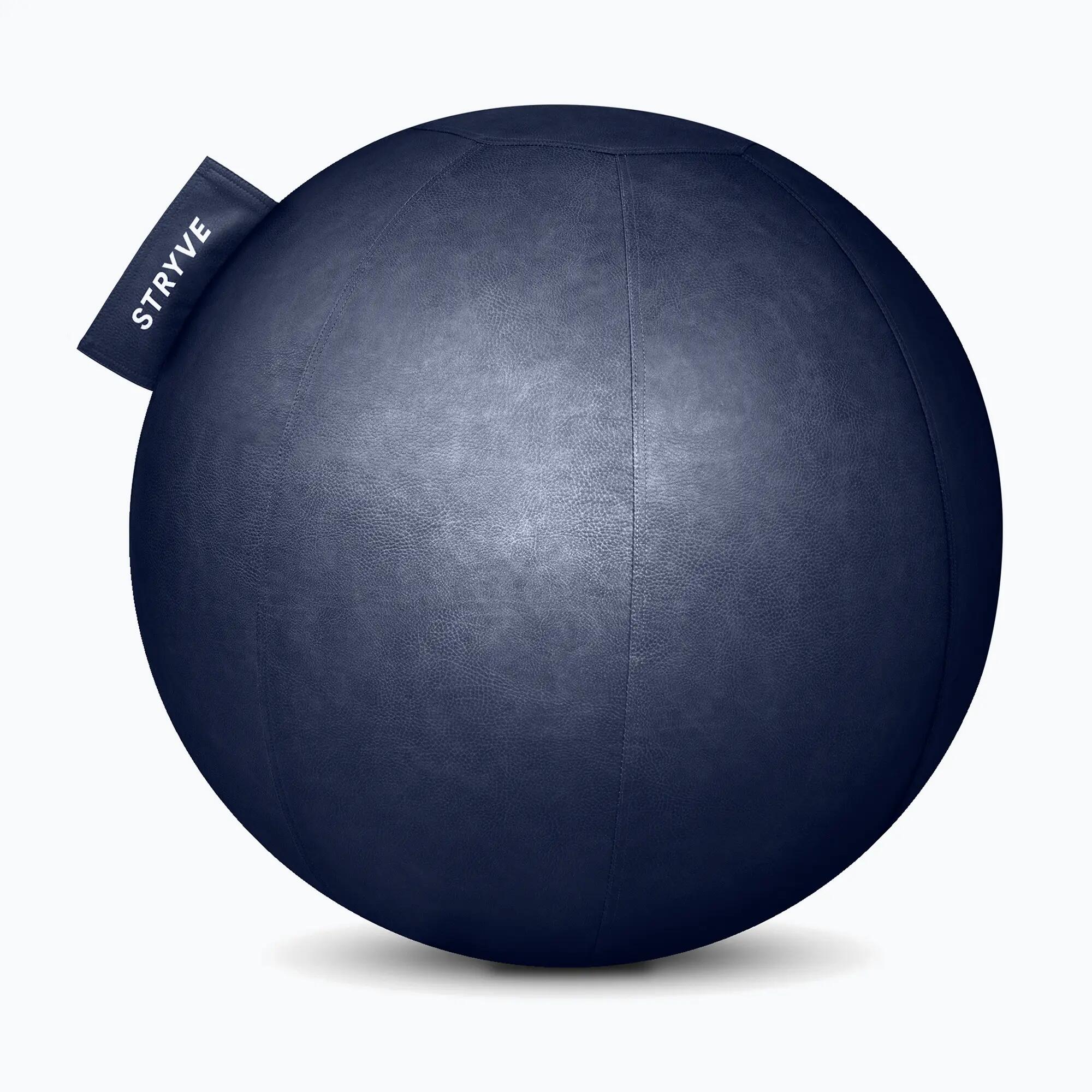 STRYVE picture