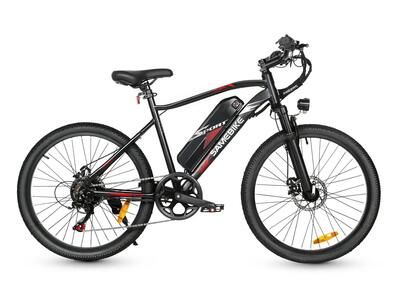 Ebe2 24-inch elektrische fiets, 250 w, 36 v 13 ah, 70 km, krachtsensor