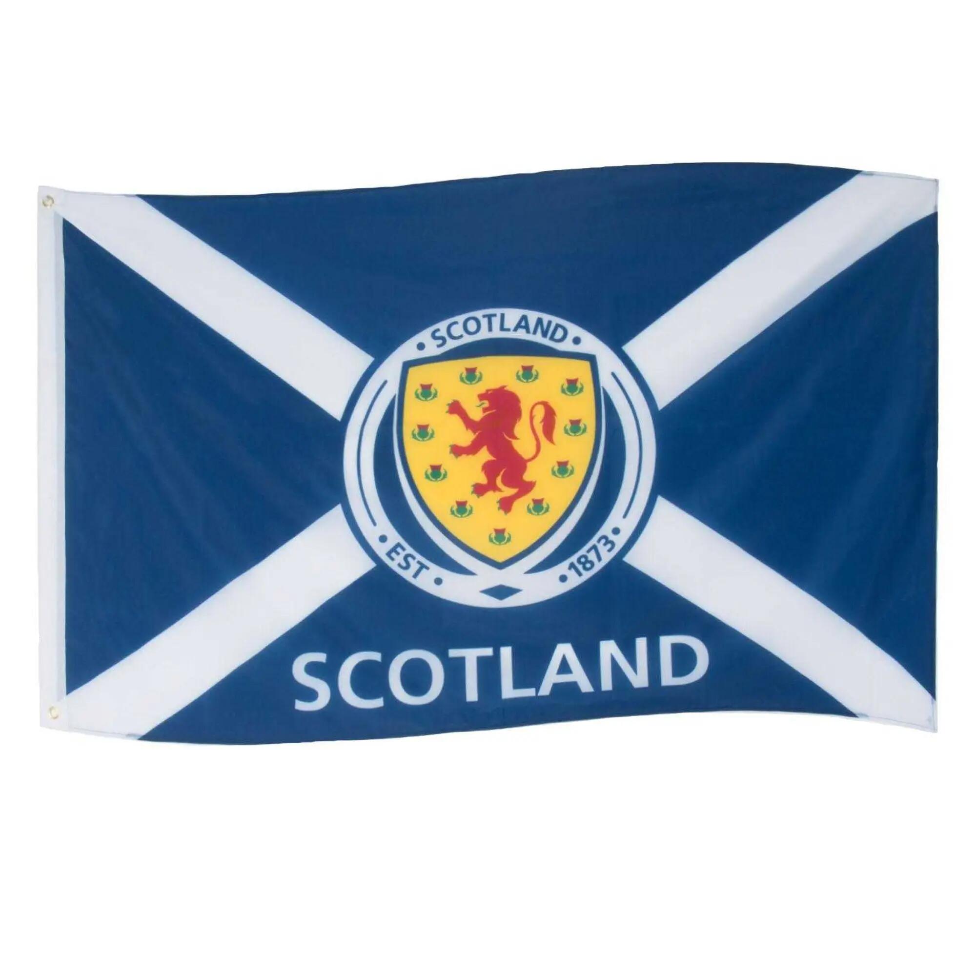 SCOTTISH FA picture