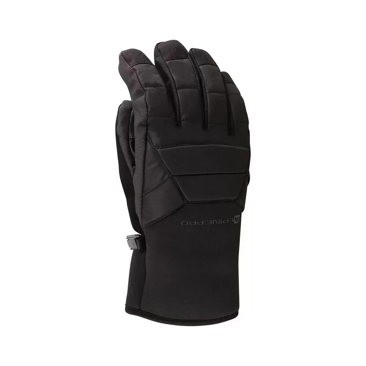 ALPINE PRO picture