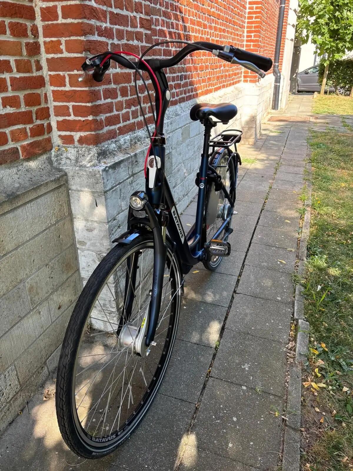 BATAVUS picture