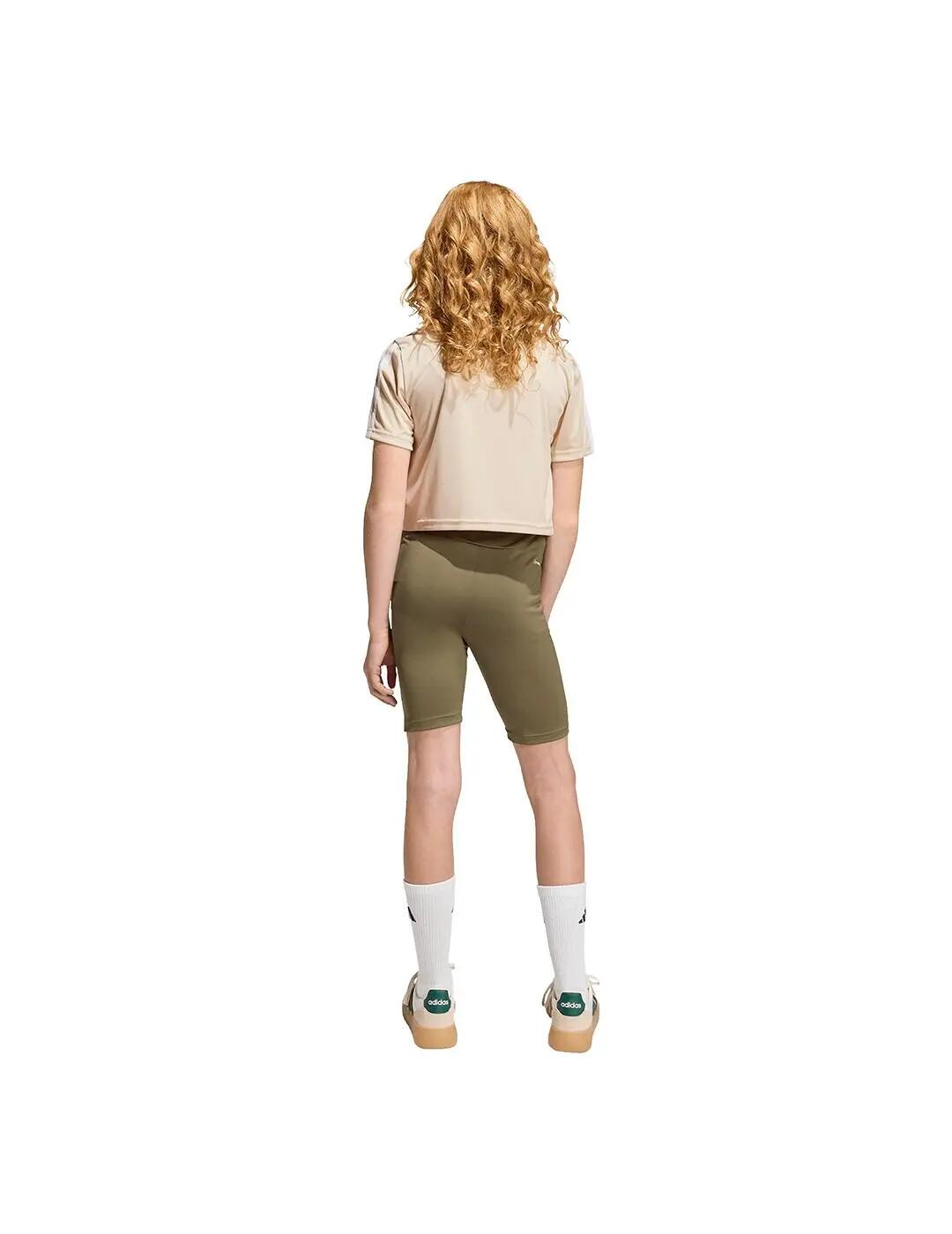 Conjunto para Menino Adidas Train essentials Bege. 5/13