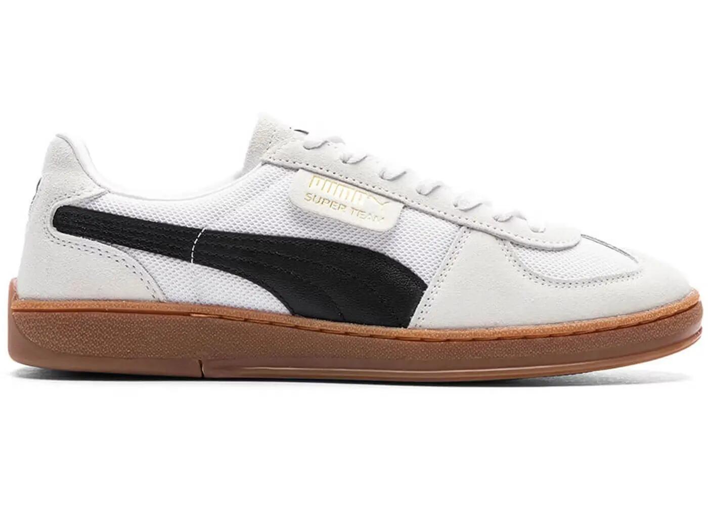 PUMA picture
