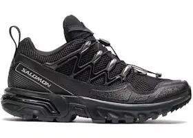 SALOMON picture