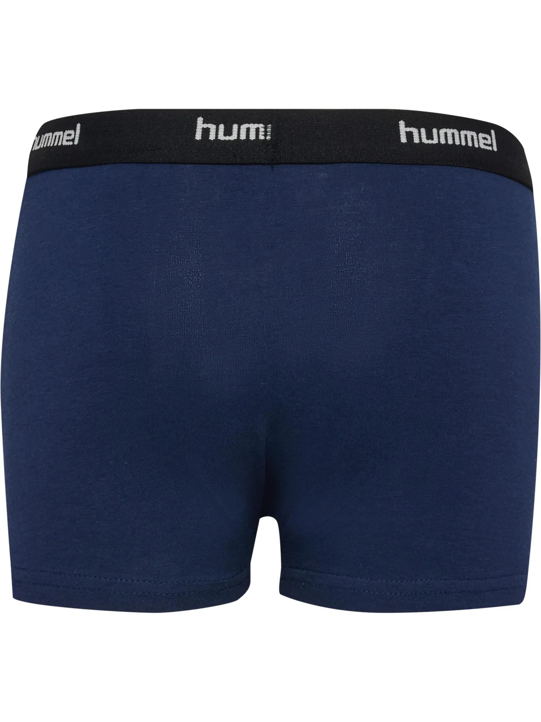 Enfiler Boxers Hmljr Nalle Enfant 6/8
