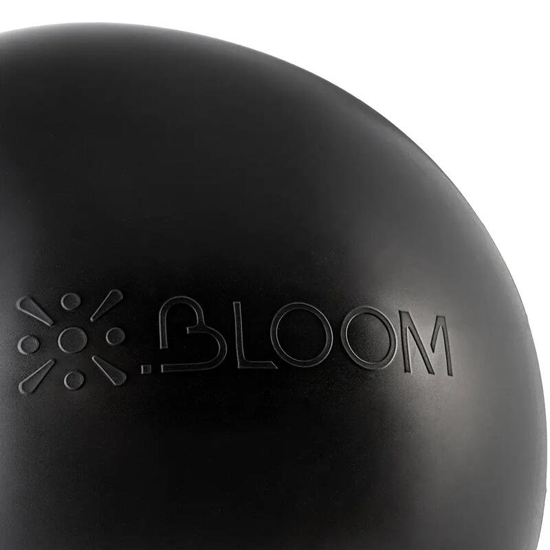 Bloom LB7054-65-BK 65 Cm Pilates Topu + Pompası