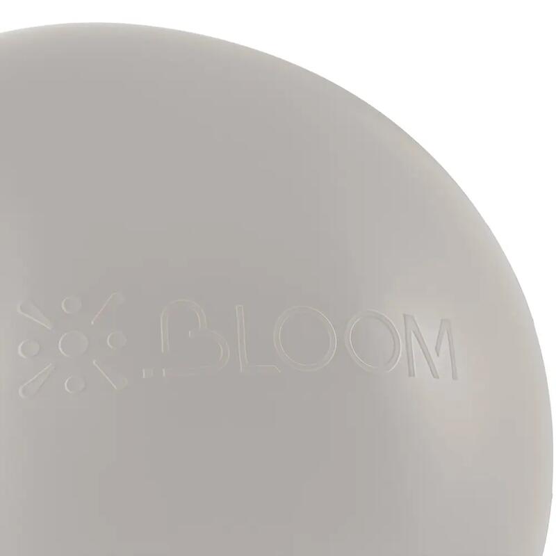 Bloom LB7054-55-GY 55 Cm Pilates Topu + Pompası
