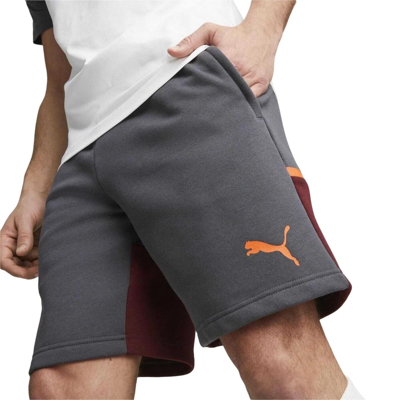 PUMA picture