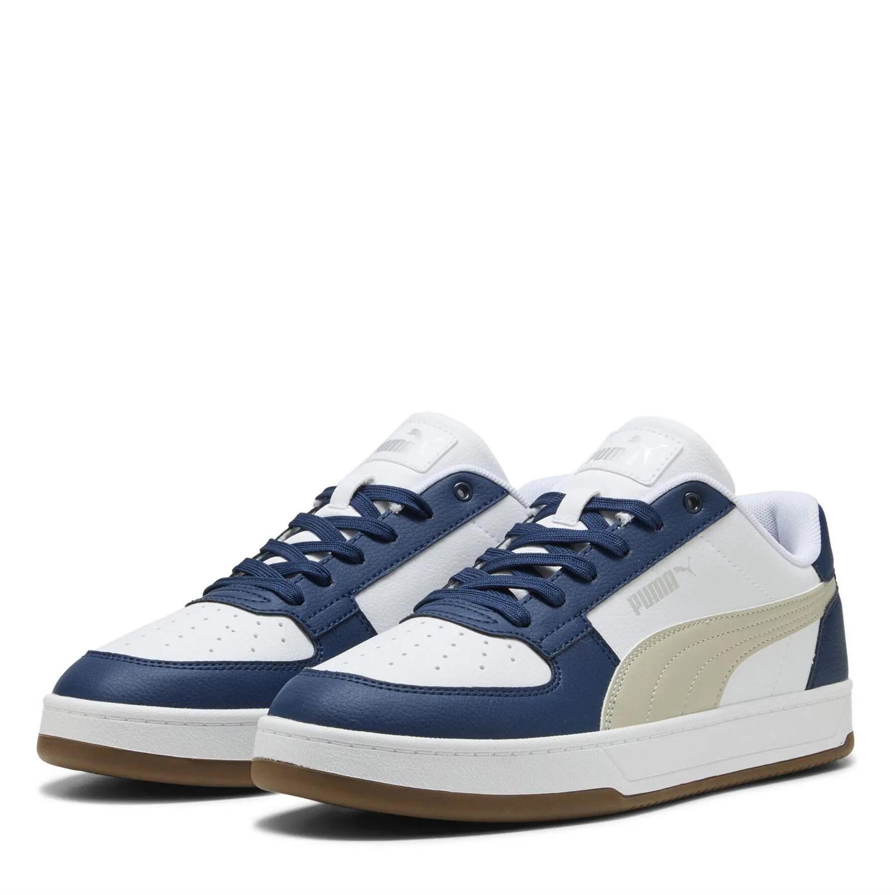 PUMA picture