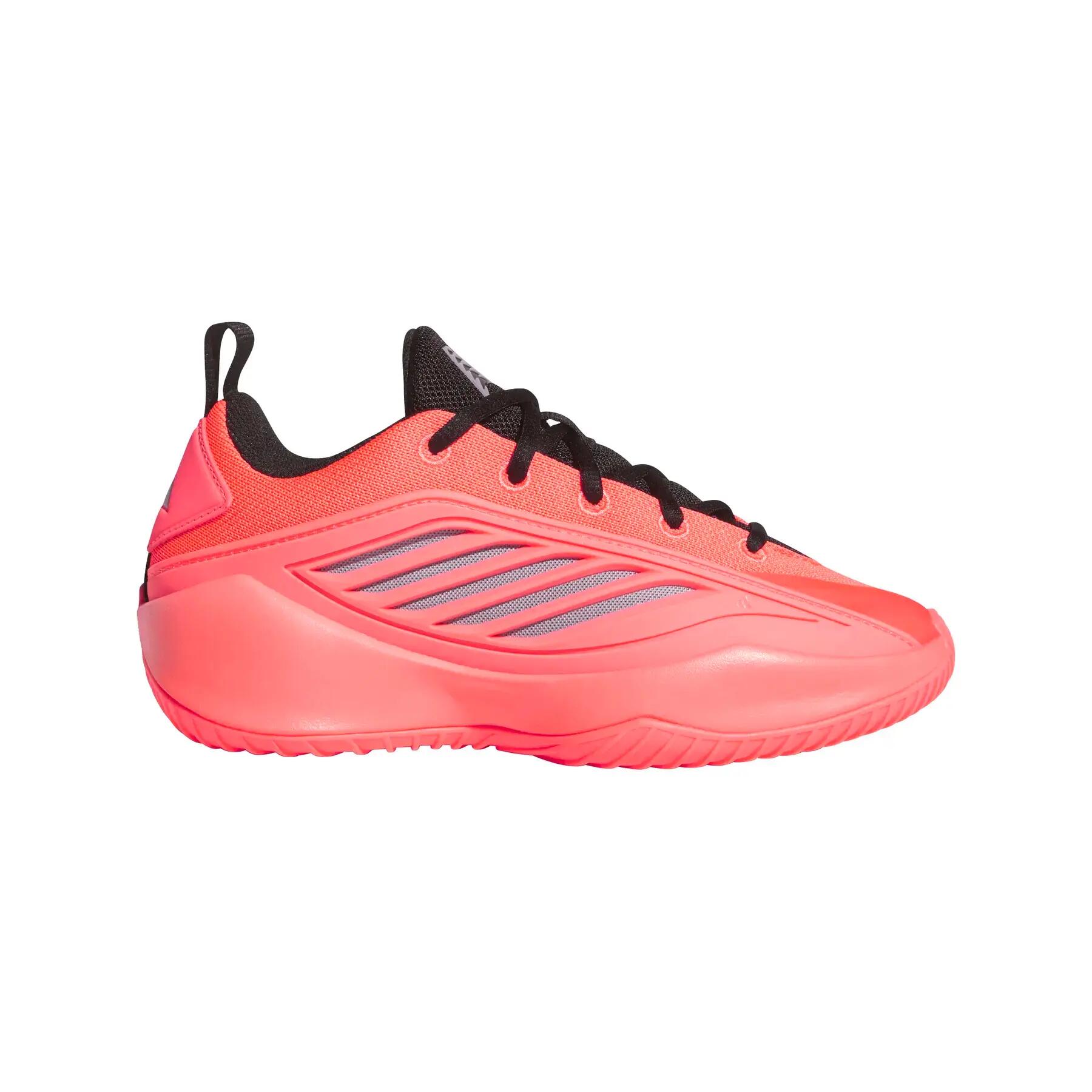 ADIDAS picture