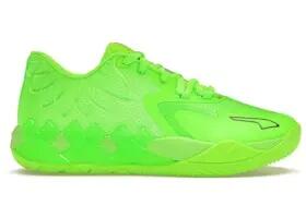 PUMA picture