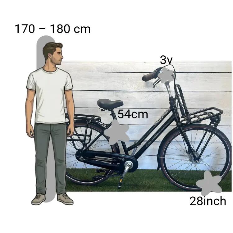 Bicicletta usata Gazelle Miss Grace 2/4