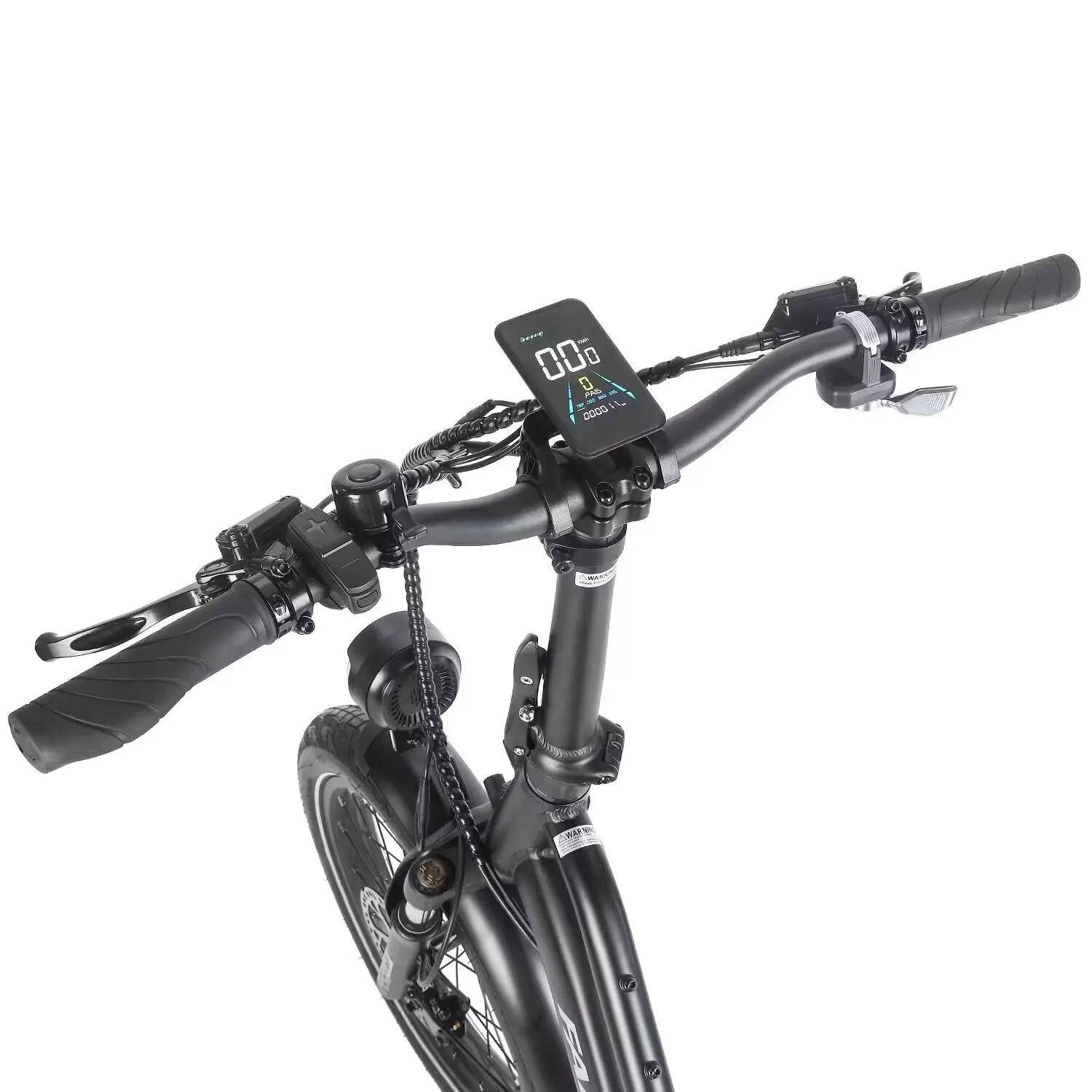 Cargo EBike FF20 CUV Batterie Doppie 12Ah 140 km Fat Gomme sedile posteriore 4/6
