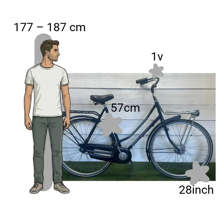 Bicicletta usata Gazelle Transportfiets 2/4