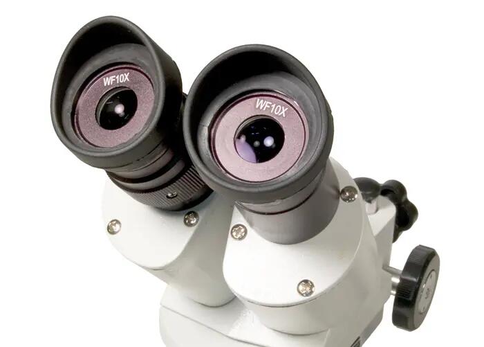 Microscopio stereo - Scienza - Stereo microscope 3ST - Binoculare, 20–40x - Nero 3/6