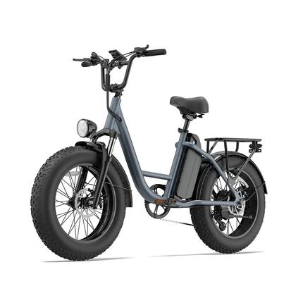 URLIFE E20 Pro elektrische fiets met 48V 15,6 Ah-accu en 20x4-banden