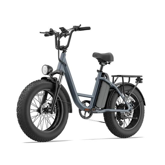URLIFE E20 Pro elektrische fiets met 48V 15,6 Ah-accu en 20x4-banden