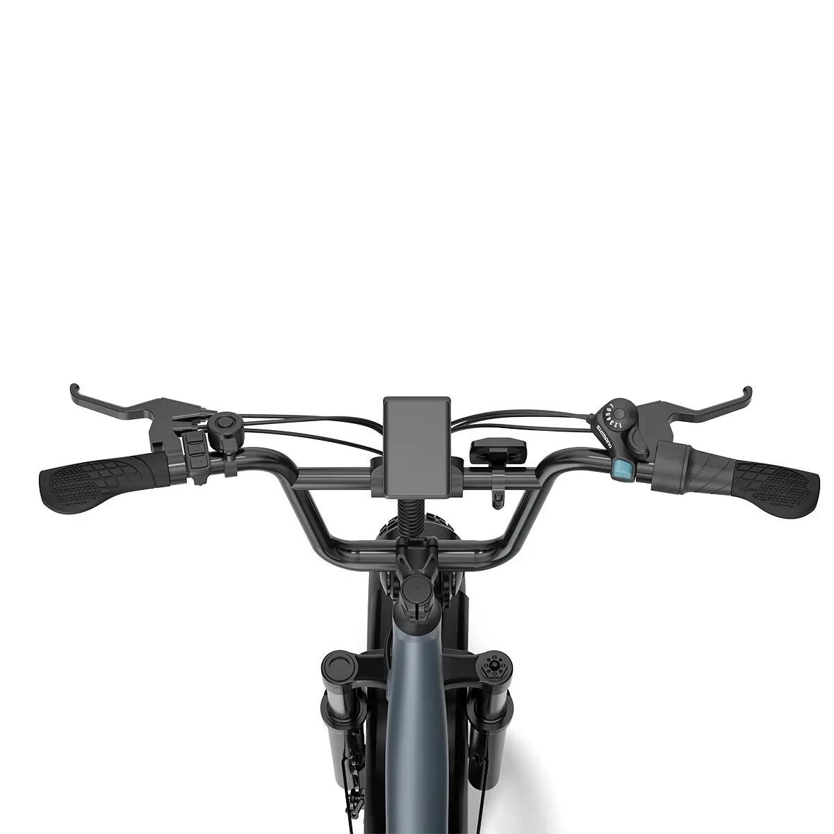 Bicicletta elettrica URLIFE E20 Pro con batteria da 48V 15.6Ah, pneumatici 20x4 6/6