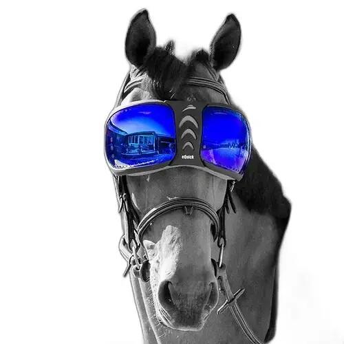 EQUICK picture