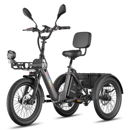 Tricycle Électrique F20 Mate II 48V 21Ah Freins Hydrauliques Paniers 180kg