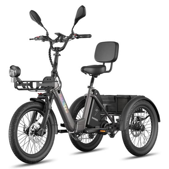 Tricycle Électrique F20 Mate II 48V 21Ah Freins Hydrauliques Paniers 180kg