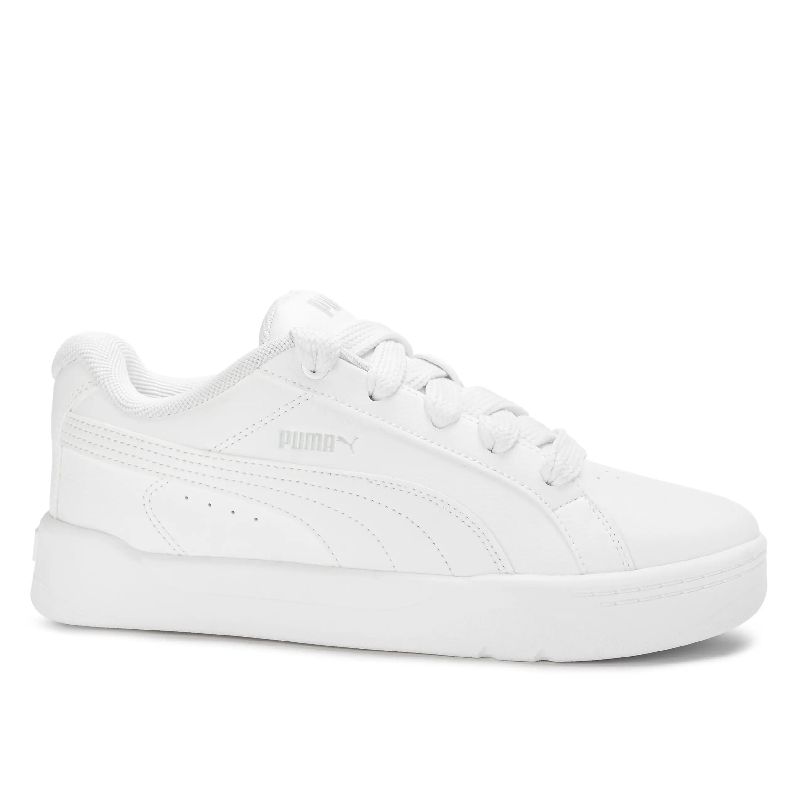 PUMA picture