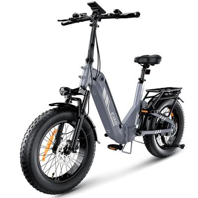 Elektrische fiets voor volwassenen iscooter eb8 48v 15ah batterij 250w motor