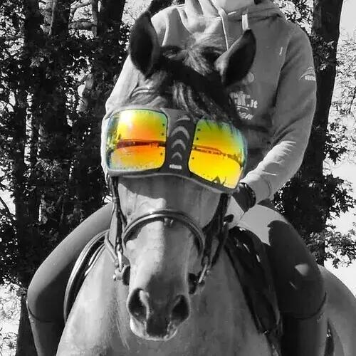 EQUICK picture