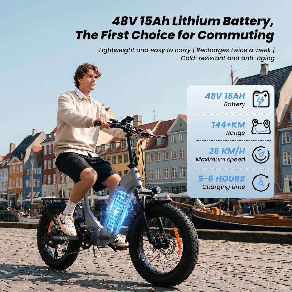 Elektrische fiets voor volwassenen iScooter EB8 48V 15Ah batterij 250W motor 9/15