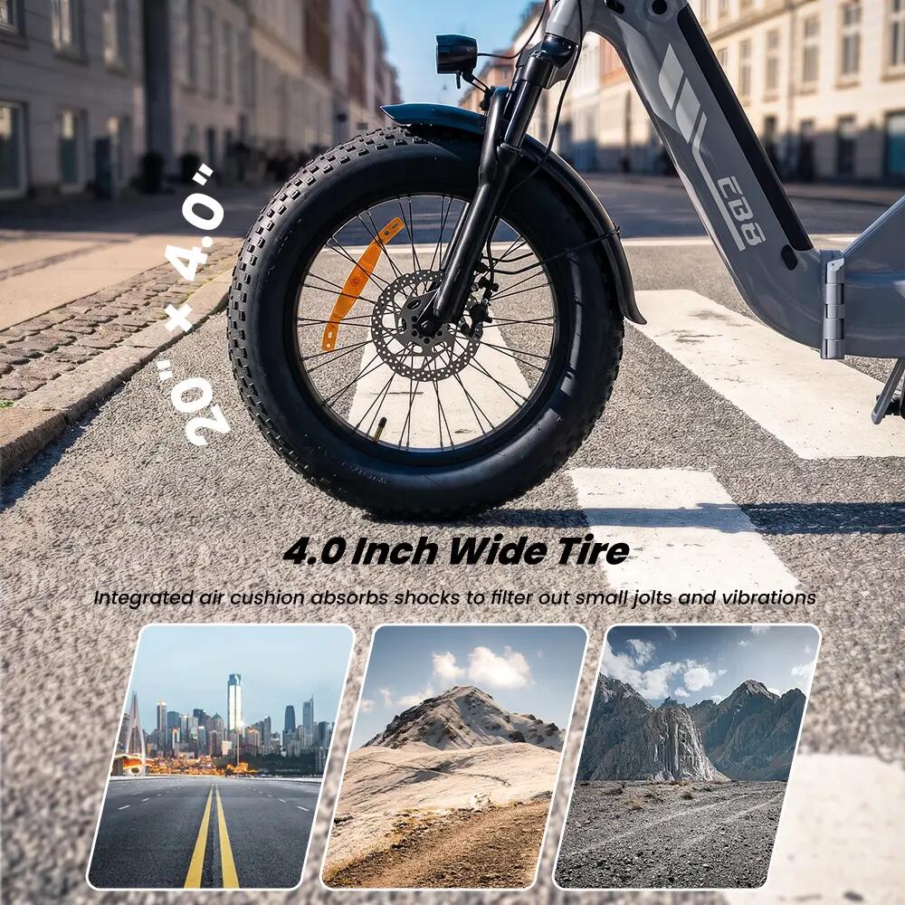 Elektrische fiets voor volwassenen iScooter EB8 48V 15Ah batterij 250W motor 8/15