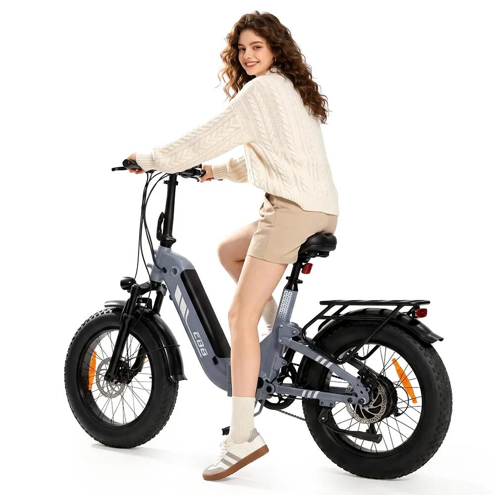 Elektrische fiets voor volwassenen iScooter EB8 48V 15Ah batterij 250W motor 6/15