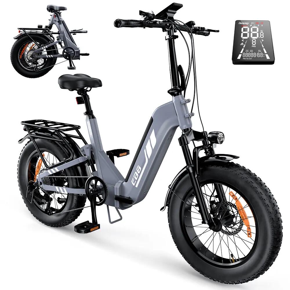 Elektrische fiets voor volwassenen iScooter EB8 48V 15Ah batterij 250W motor 5/15