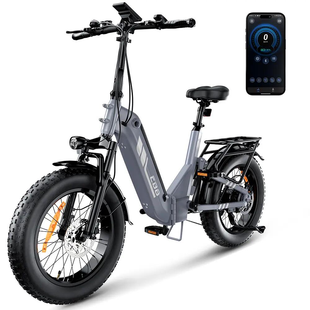 Elektrische fiets voor volwassenen iScooter EB8 48V 15Ah batterij 250W motor 4/15