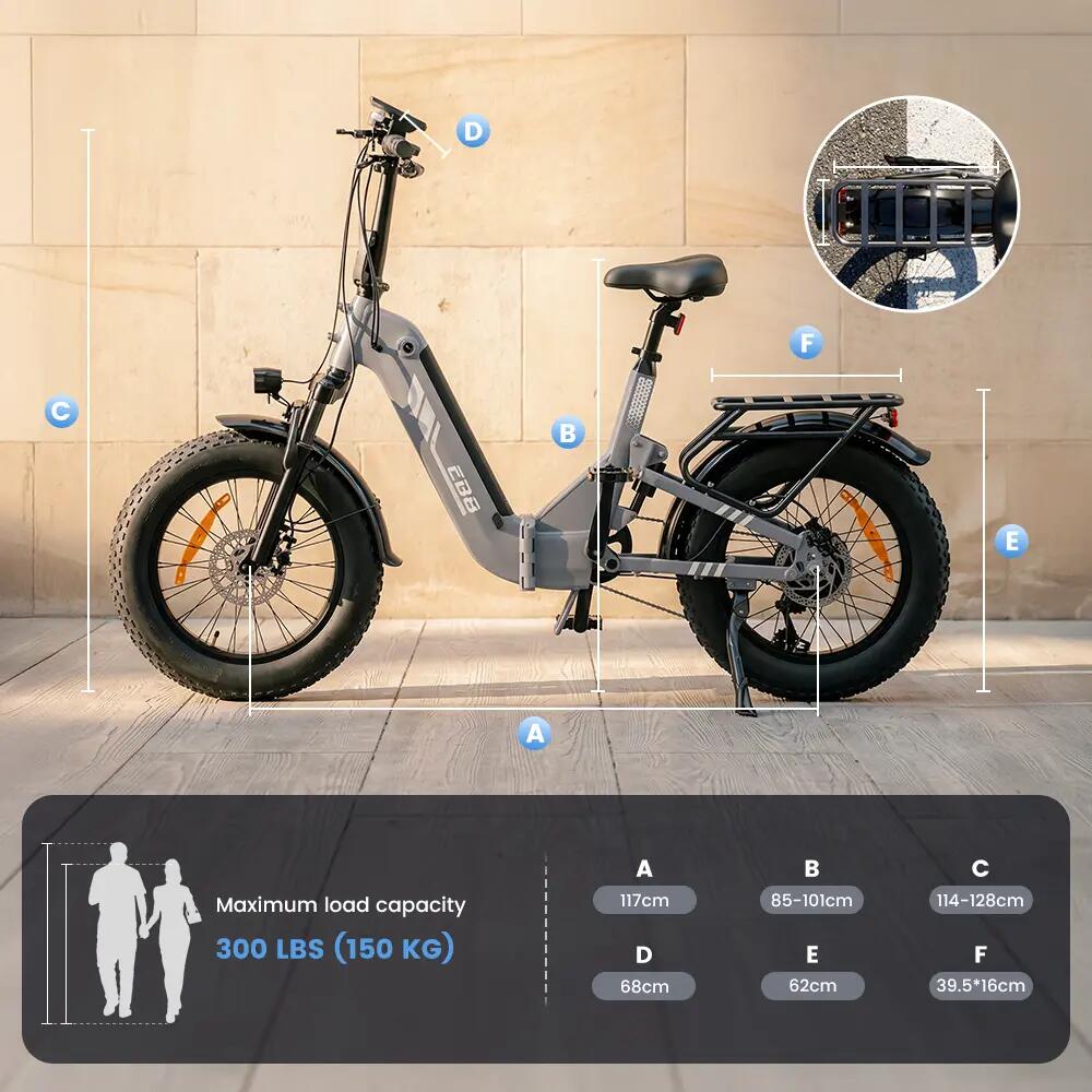 Elektrische fiets voor volwassenen iScooter EB8 48V 15Ah batterij 250W motor 12/15
