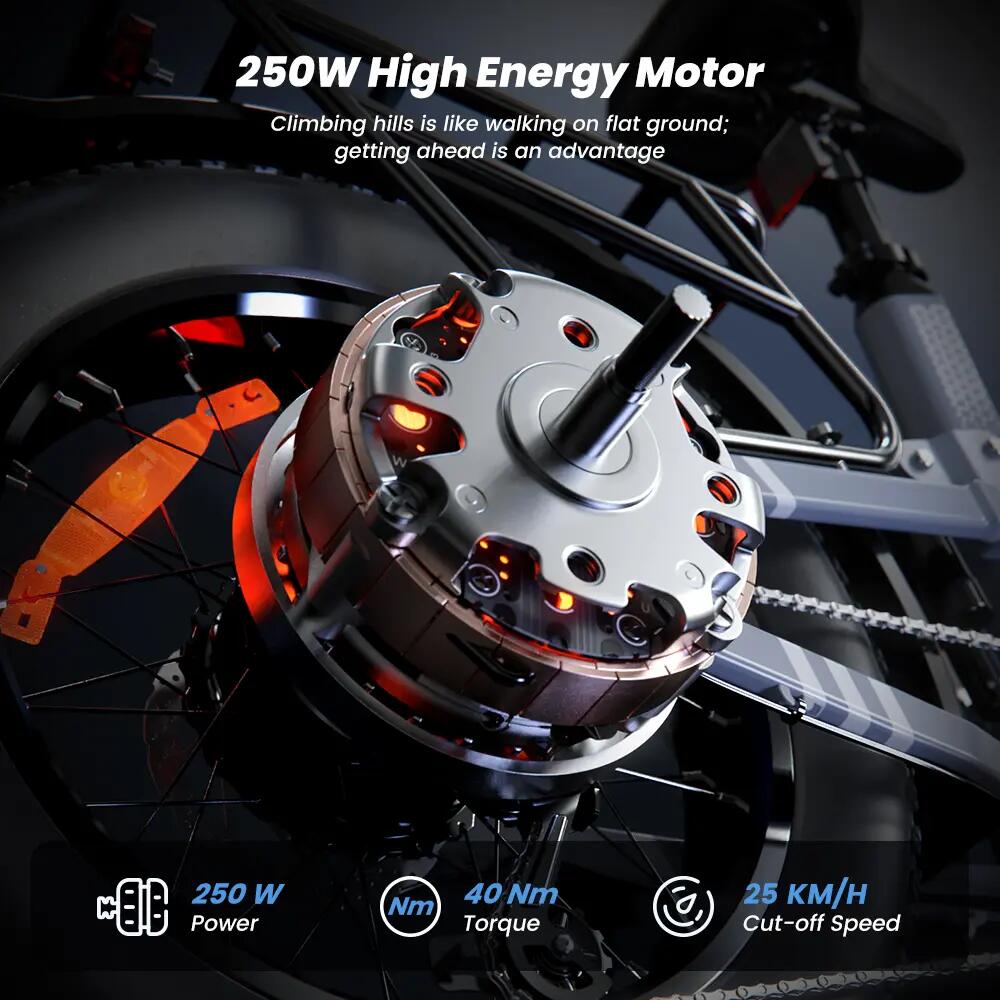 Elektrische fiets voor volwassenen iScooter EB8 48V 15Ah batterij 250W motor 10/15
