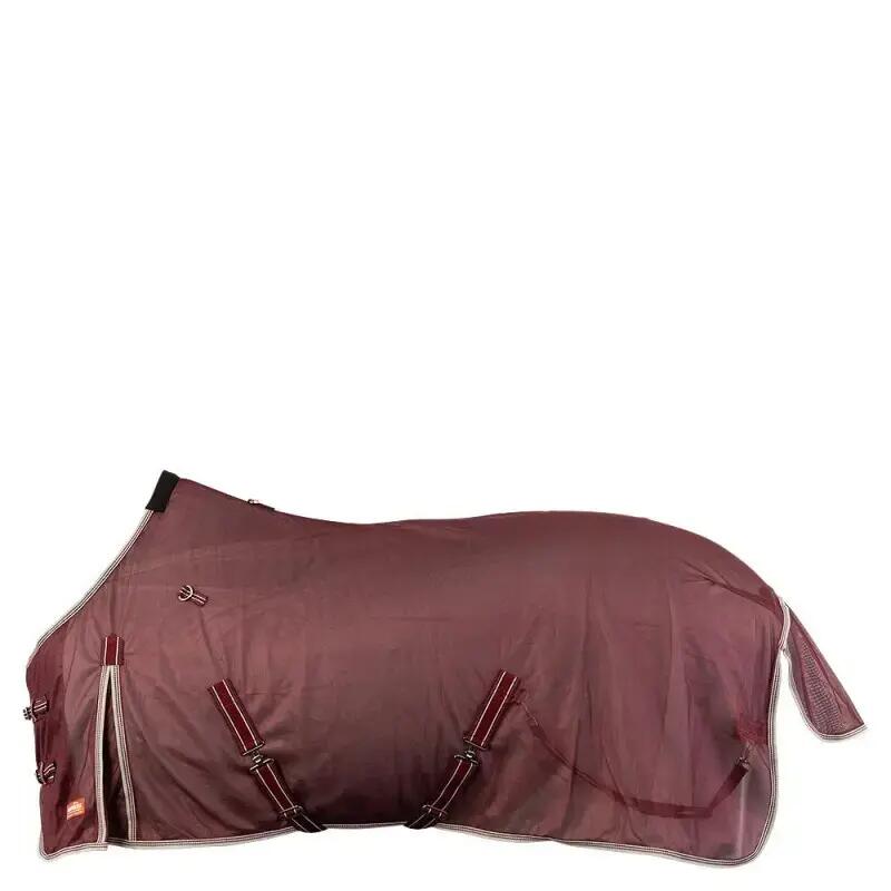 Hemd für Pferd Premiere 2/3